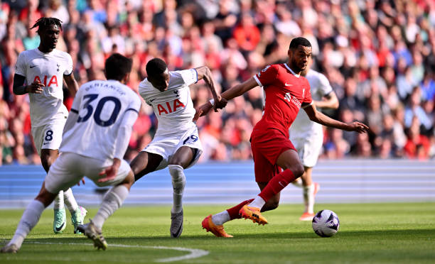 自然不甘落 自然不甘落