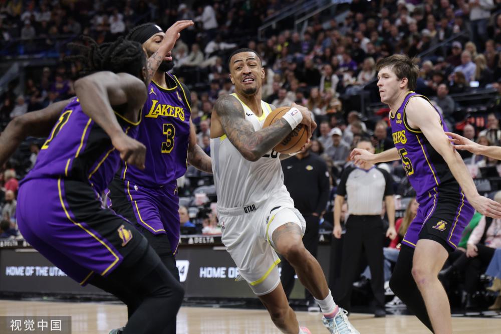 们提供了意 们提供了意